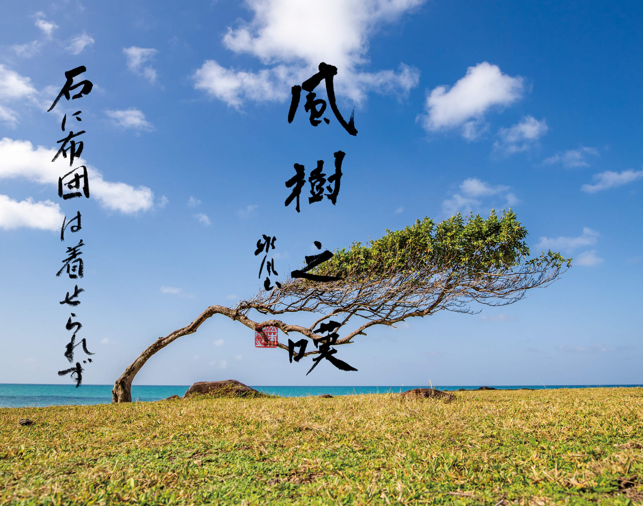 壁紙