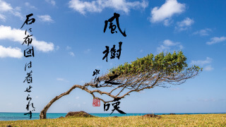 風之荘のこころ No.202「風樹之嘆」
