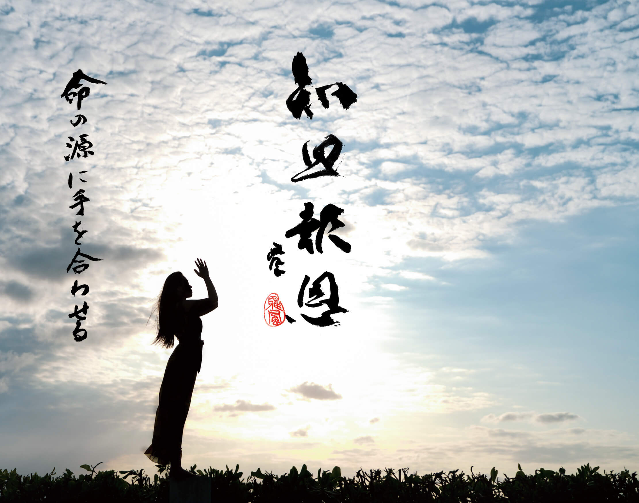 壁紙